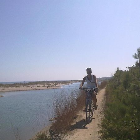 Hotel Touring Misano Adriatico Εξωτερικό φωτογραφία
